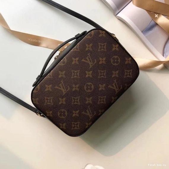 Frstbag ru SAINTONGE VUITTON LOUIS 0816